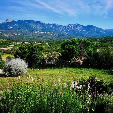 Appartements Avec Jardin Entre Porto-Vecchio Et Figari - Casa Mattiste Sotta Buitenkant foto