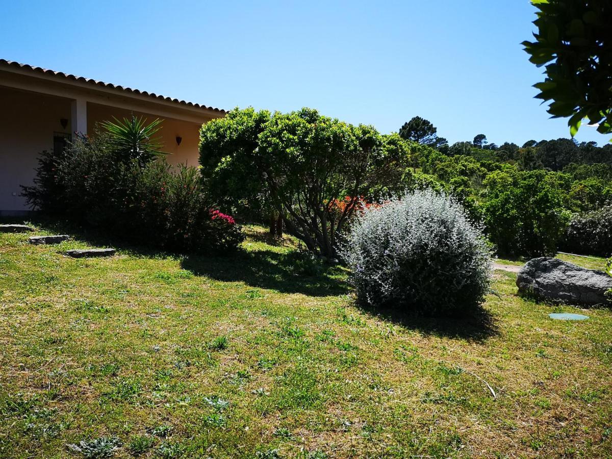 Appartements Avec Jardin Entre Porto-Vecchio Et Figari - Casa Mattiste Sotta Buitenkant foto