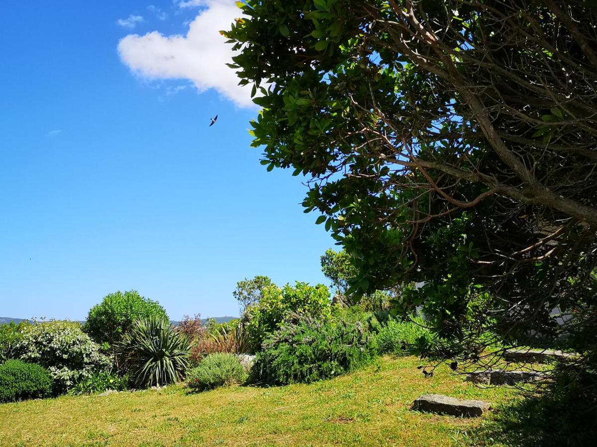 Appartements Avec Jardin Entre Porto-Vecchio Et Figari - Casa Mattiste Sotta Buitenkant foto